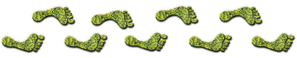 Green Carbon Footprint